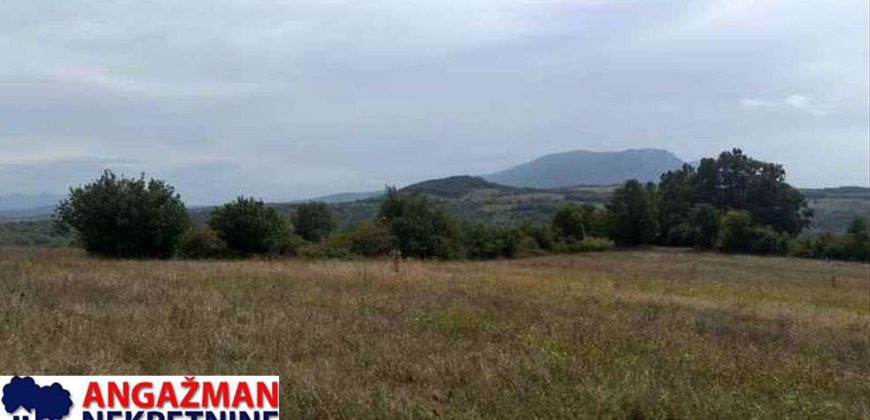 Boljevac, Rtanj – Vrbovac 9ha 97ari 99kvm