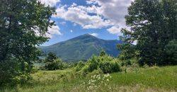 Boljevac, Rtanj – Mirovo 1ha 21ar 4kvm