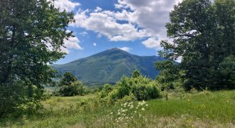 Boljevac, Rtanj – Mirovo 1ha 21ar 4kvm