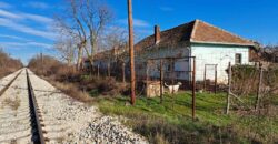 Zaječar-Grlište 3ha 89a 63kvm