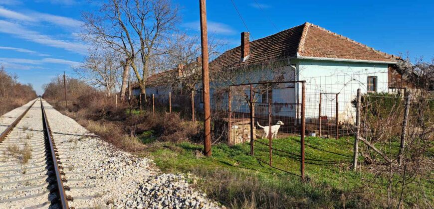 Zaječar-Grlište 3ha 89a 63kvm