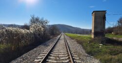 Zaječar-Grlište 3ha 89a 63kvm