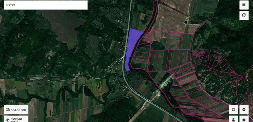 Zaječar-Grlište 3ha 89a 63kvm