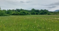 Boljevac, Rtanj – Mirovo 21,50ari