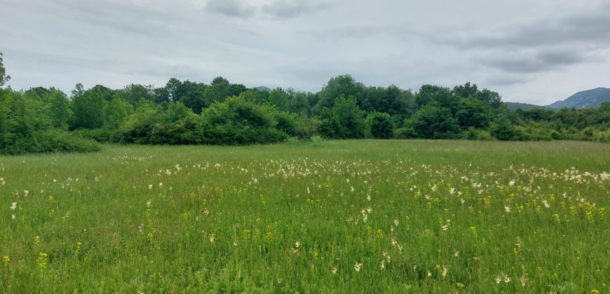 Boljevac, Rtanj – Mirovo 21,50ari