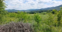 Boljevac, Rtanj – Mirovo 1ha 21ar 4kvm