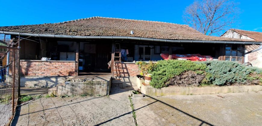 Zaječar-Grlište 3ha 89a 63kvm