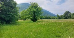 Boljevac, Rtanj – Mirovo 1ha 86a 59kvm