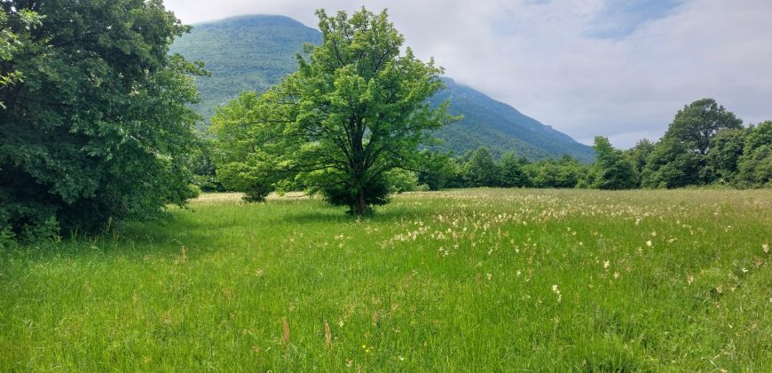 Boljevac, Rtanj – Mirovo 1ha 86a 59kvm