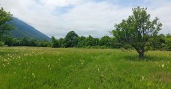 Boljevac, Rtanj – Mirovo 1ha 86a 59kvm