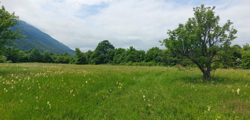 Boljevac, Rtanj – Mirovo 1ha 86a 59kvm