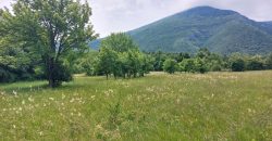 Boljevac, Rtanj – Mirovo 1ha 86a 59kvm