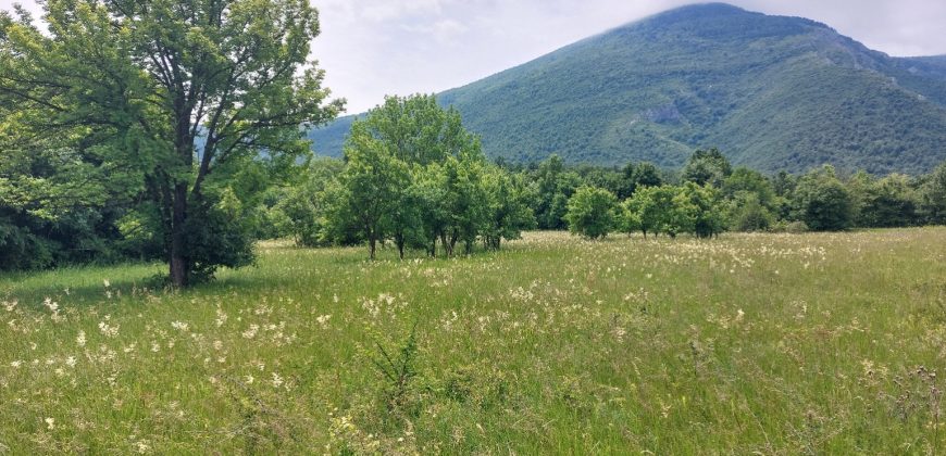 Boljevac, Rtanj – Mirovo 1ha 86a 59kvm