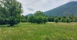 Boljevac, Rtanj – Mirovo 1ha 86a 59kvm