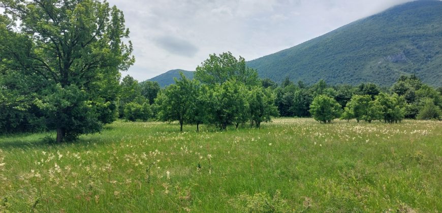 Boljevac, Rtanj – Mirovo 1ha 86a 59kvm