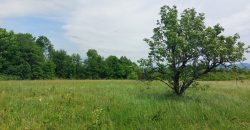 Boljevac, Rtanj – Mirovo 1ha 86a 59kvm