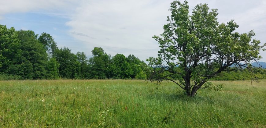 Boljevac, Rtanj – Mirovo 1ha 86a 59kvm