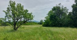 Boljevac, Rtanj – Mirovo 1ha 86a 59kvm