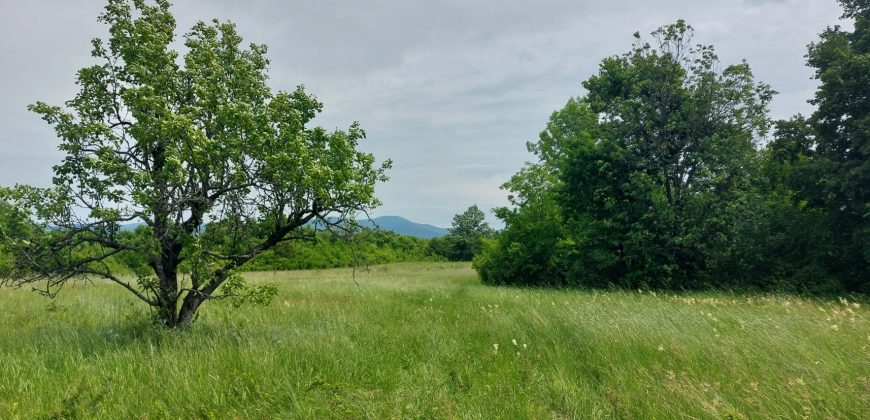 Boljevac, Rtanj – Mirovo 1ha 86a 59kvm