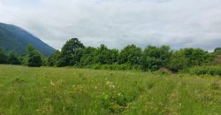 Boljevac, Rtanj – Mirovo 1ha 86a 59kvm