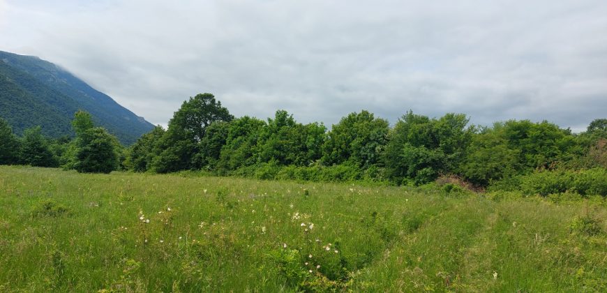 Boljevac, Rtanj – Mirovo 1ha 86a 59kvm