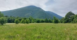 Boljevac, Rtanj – Mirovo 1ha 86a 59kvm