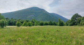 Boljevac, Rtanj – Mirovo 1ha 86a 59kvm