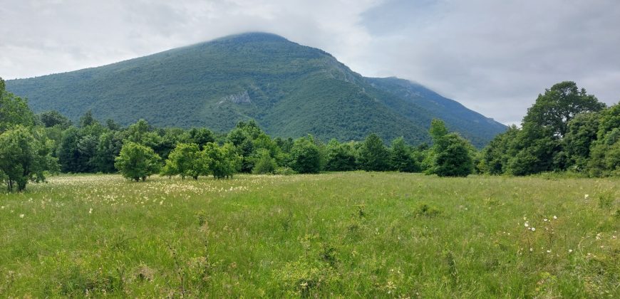 Boljevac, Rtanj – Mirovo 1ha 86a 59kvm