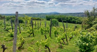 Sopot – Mala Ivanča 41,82ara