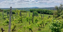 Sopot – Mala Ivanča 41,82ara