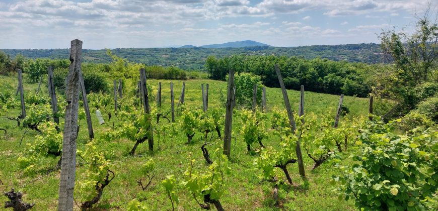 Sopot – Mala Ivanča 41,82ara