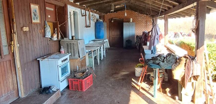 Zaječar-Grlište 3ha 89a 63kvm