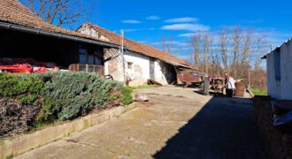 Zaječar-Grlište 3ha 89a 63kvm