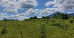 Boljevac, Rtanj – Mirovo 1ha 21ar 4kvm