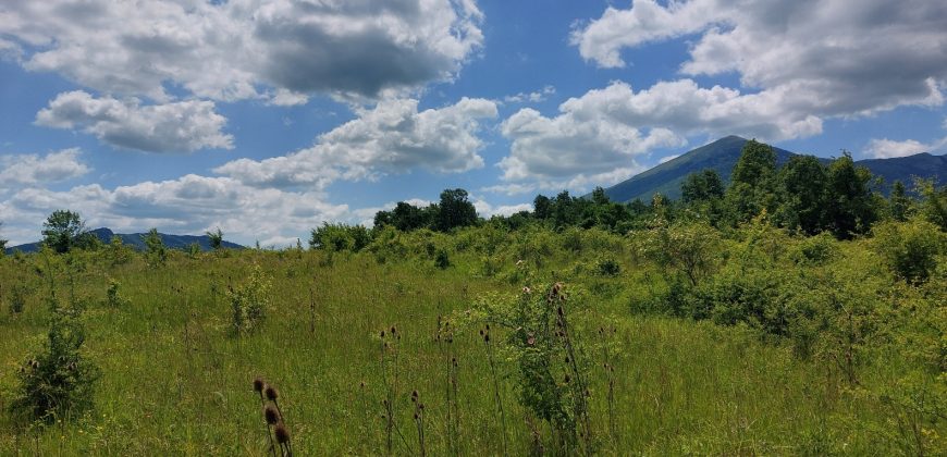 Boljevac, Rtanj – Mirovo 1ha 21ar 4kvm