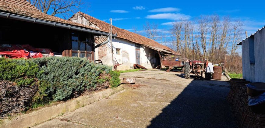 Zaječar-Grlište 3ha 89a 63kvm