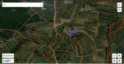 Boljevac, Rtanj – Mirovo 21,50ari