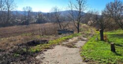 Zaječar-Grlište 3ha 89a 63kvm