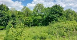 Boljevac, Rtanj – Mirovo 1ha 21ar 4kvm