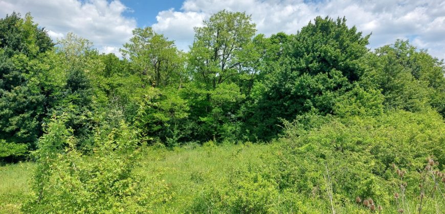 Boljevac, Rtanj – Mirovo 1ha 21ar 4kvm