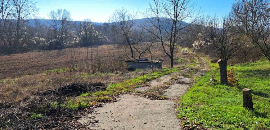 Zaječar-Grlište 3ha 89a 63kvm