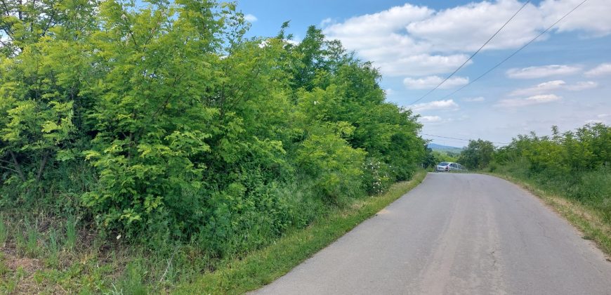 Sopot – Mala Ivanča 41,82ara