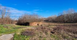 Zaječar-Grlište 3ha 89a 63kvm