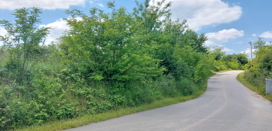 Sopot – Mala Ivanča 41,82ara