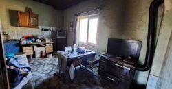 Zaječar-Grlište 3ha 89a 63kvm