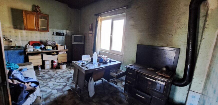 Zaječar-Grlište 3ha 89a 63kvm