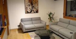 Dorćol, odličan, renoviran – 75kvm (2T)