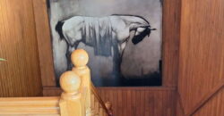 Kuća 250kvm + kuća 150kvm + 50kvm, sve na 10 ari