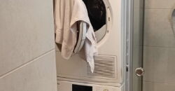 Dorćol, odličan, renoviran – 75kvm (2T)