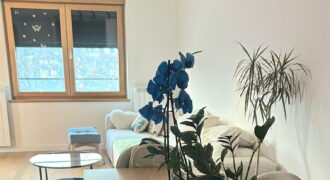 Zelena avenija – 71kvm, garaža